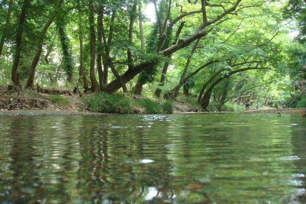 The Villa Averoff Kírinthos Pokój zdjęcie