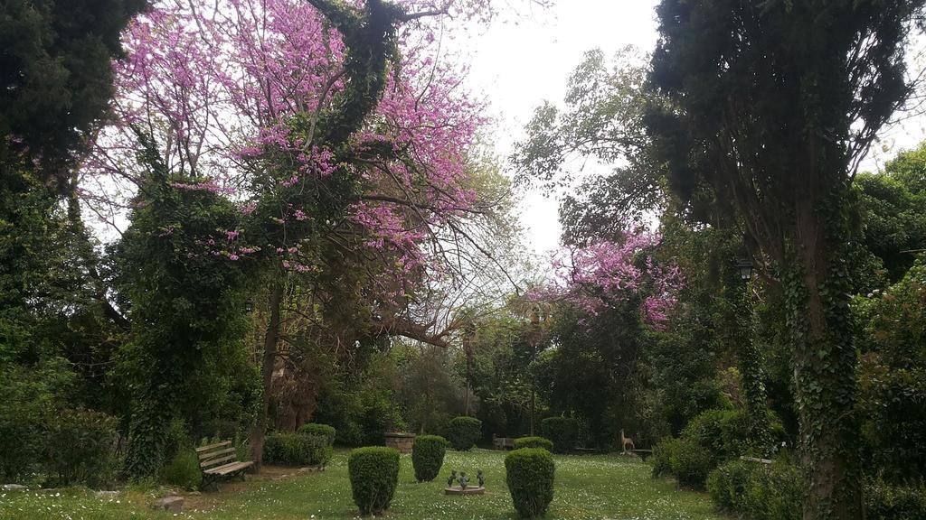 The Villa Averoff Kírinthos Pokój zdjęcie