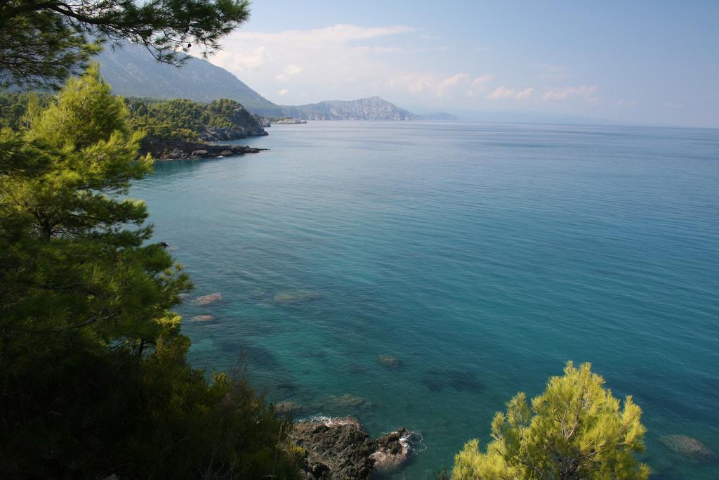 The Villa Averoff Kírinthos Pokój zdjęcie